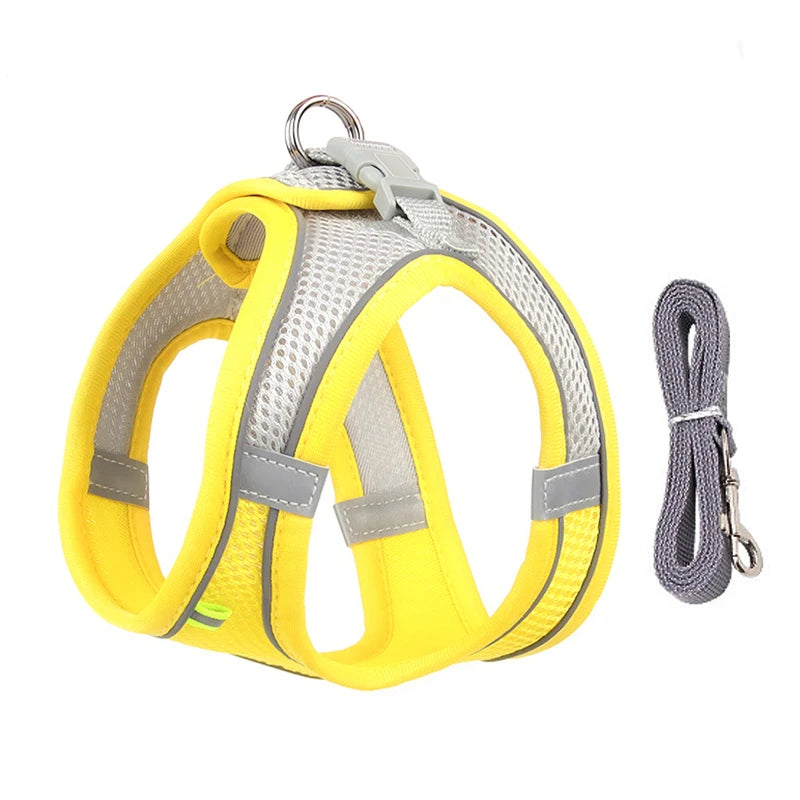 Pet Harness Leash Set