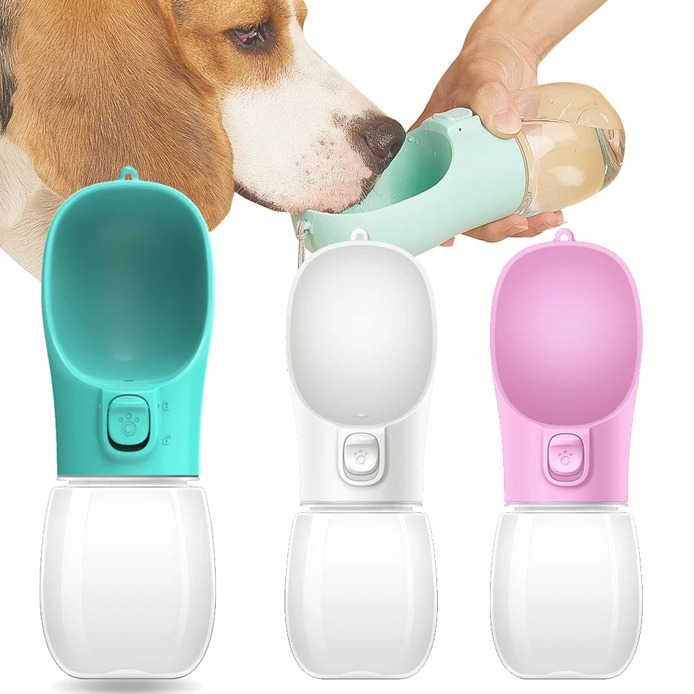 Pet Water Bottle for Walks