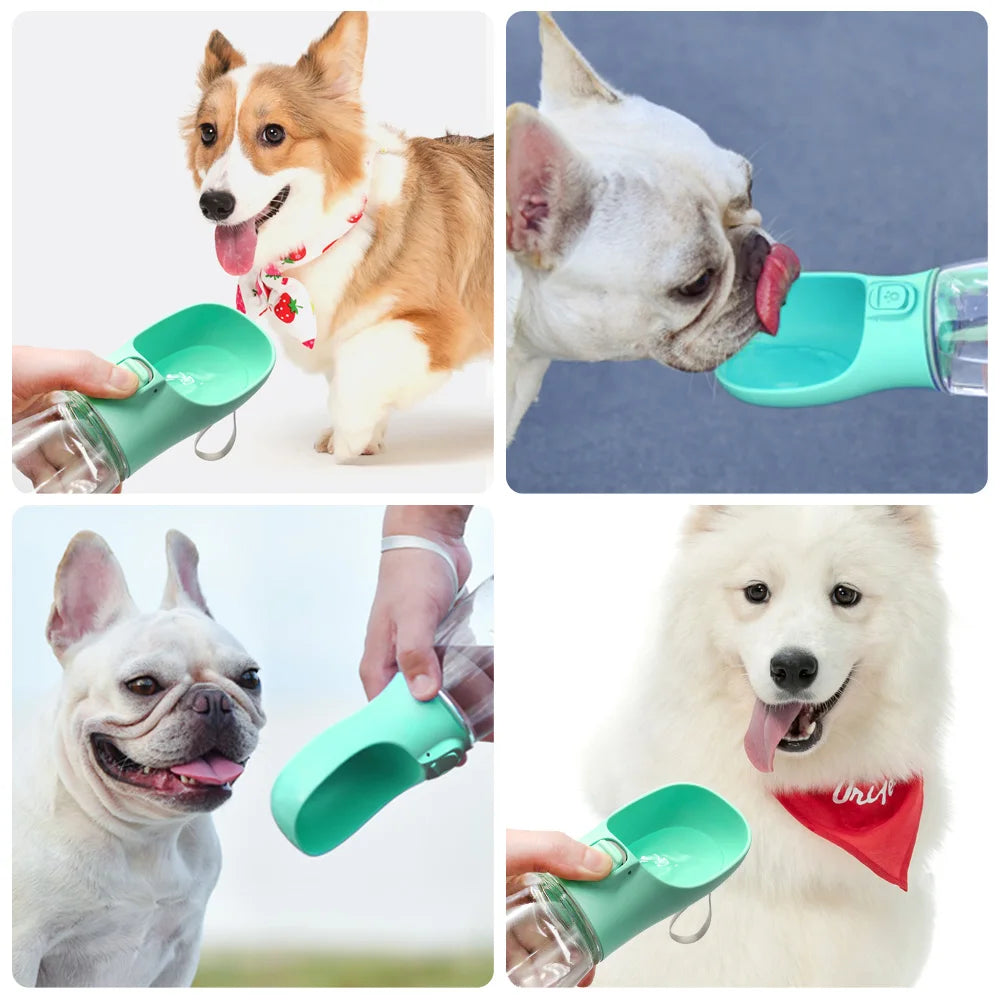 Pet Water Bottle for Walks