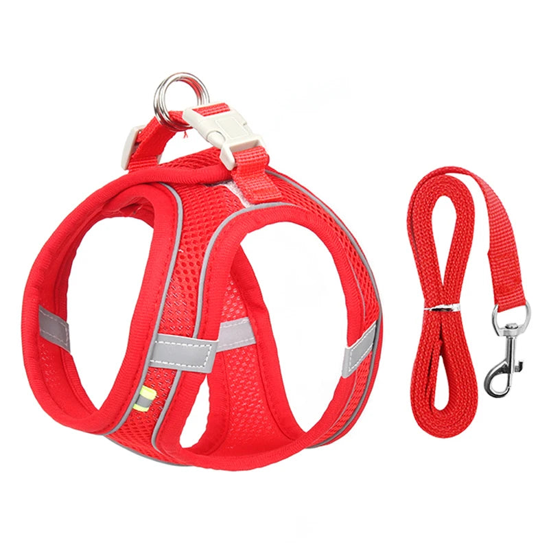 Pet Harness Leash Set