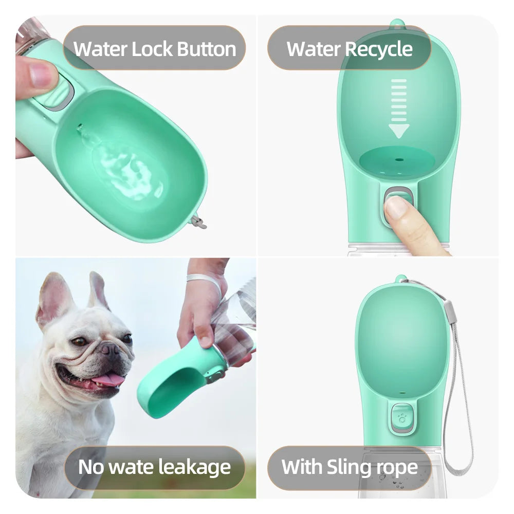 Pet Water Bottle for Walks
