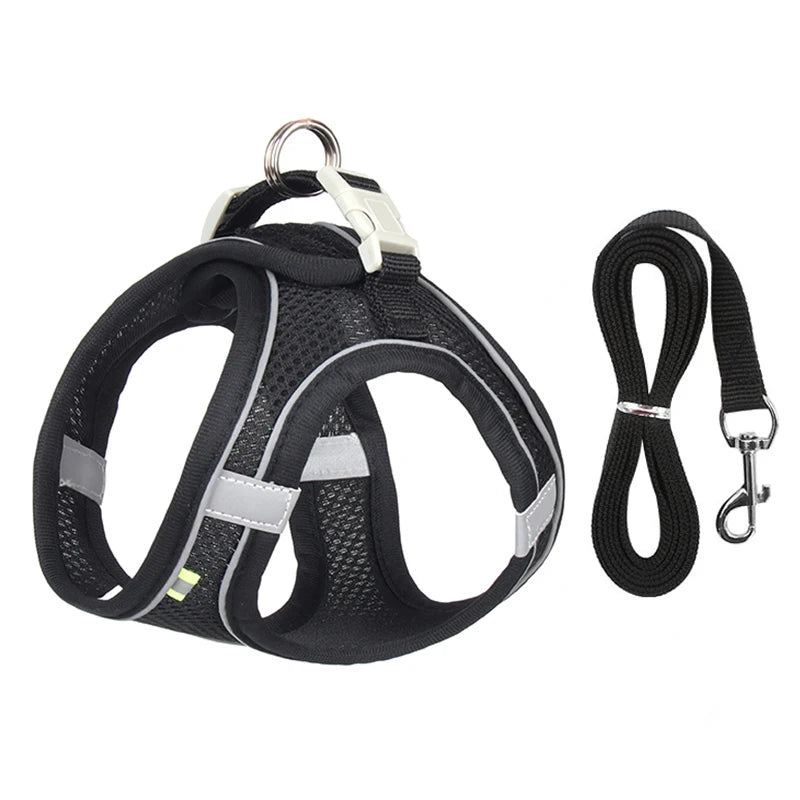 Pet Harness Leash Set