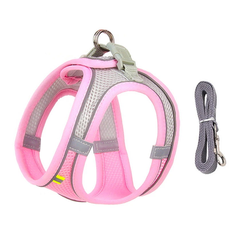 Pet Harness Leash Set