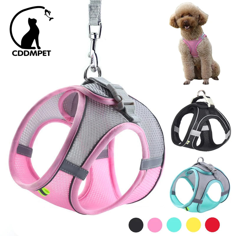 Pet Harness Leash Set