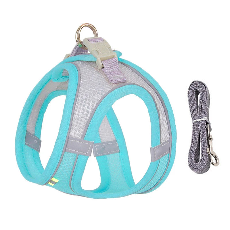 Pet Harness Leash Set